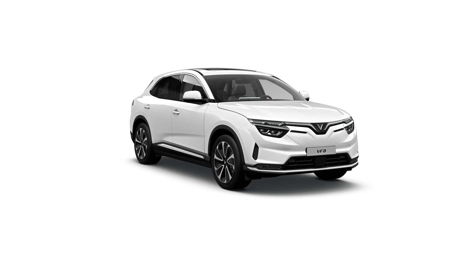 Màu Trắng - Infinity Blanc