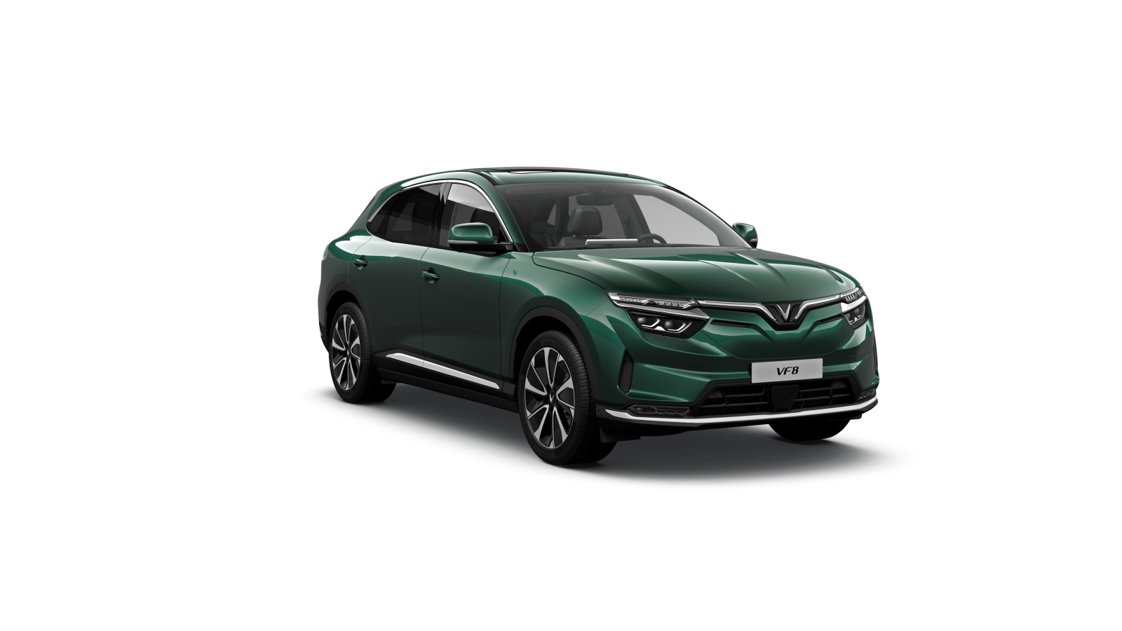 Màu Xanh lá đậm - Ivy Green