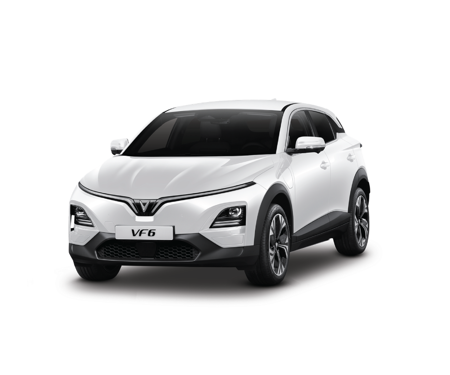 Màu Trắng - Infinity Blanc